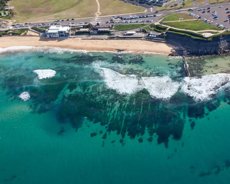 Man Charged for Displaying Nazi Tattoos at Australian Beach