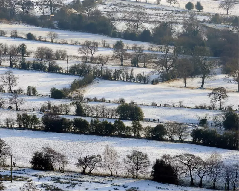 Met Office Forecast: White Christmas Unlikely, Snowball Fights a Festive Disappointment