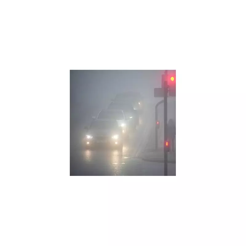 Met Office Issues Yellow Fog Warning: Flight Cancellations Feared Across England