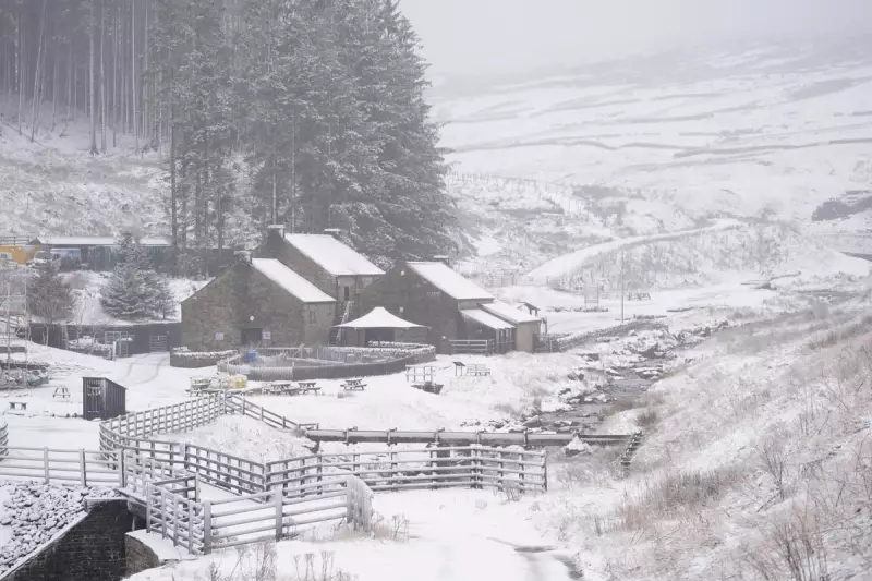 Met Office Issues Yellow Snow Warning for Scotland as Arctic Air Hits UK