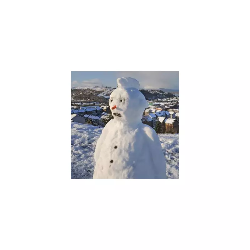 Met Office Reveals: Just One Snowflake Needed for a White Christmas