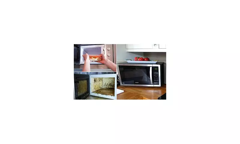 Microwave Safety Alert: 4 Common Mistakes That Could Start a Fire