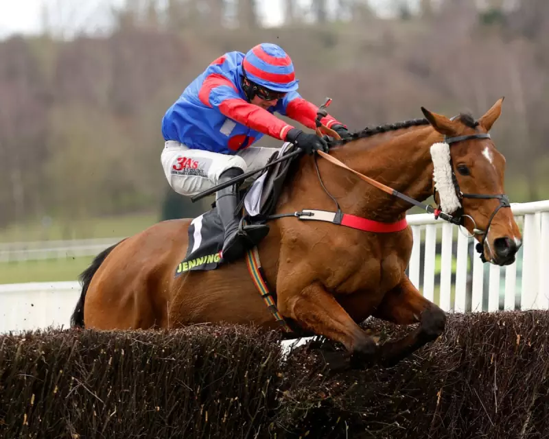 Mr Vango: The Old-School Steeplechaser Eyeing Welsh Grand National Glory