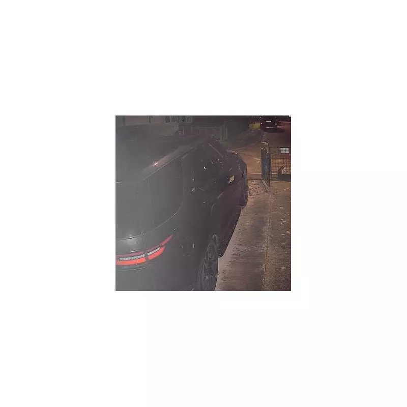 Mystery Big Cat 'As Tall As Car Bonnet' Caught on CCTV in Malvern