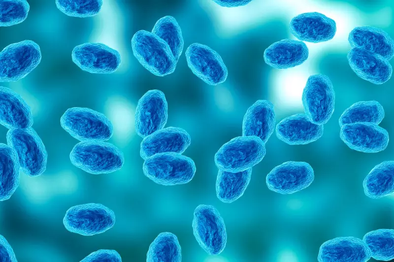 Nasal Spray Vaccine Breakthrough Could Halt Whooping Cough Spread