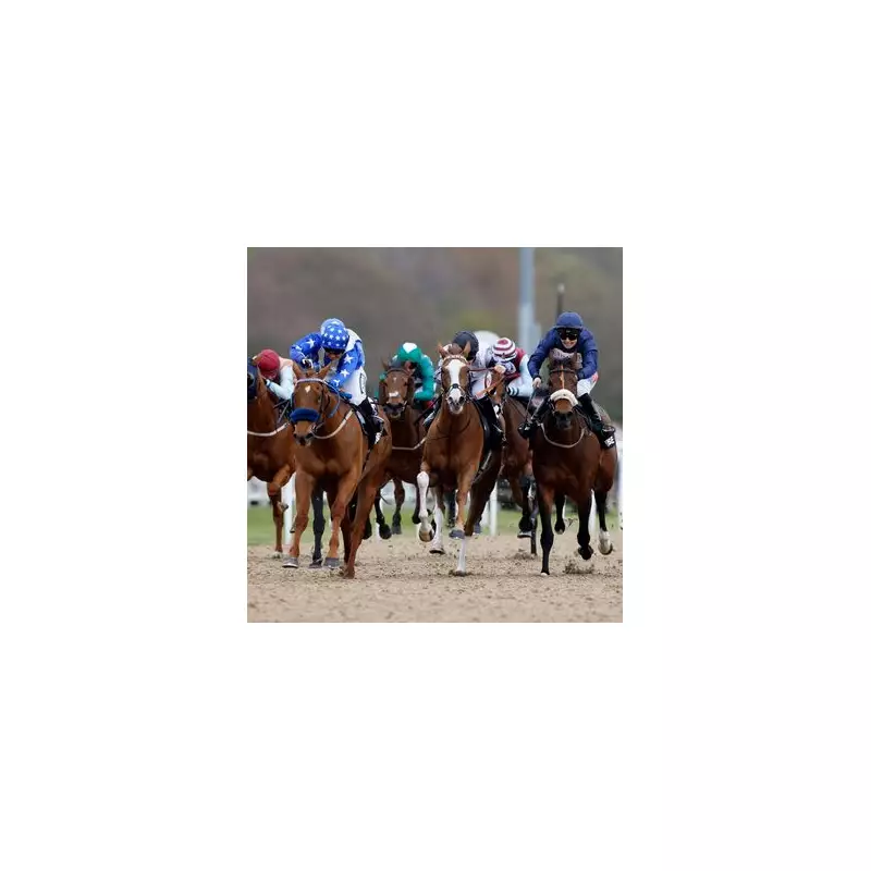 Newsboy's Friday Racing Tips: Machete to Slice Through Newcastle Field