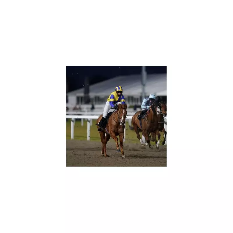 Newsboy's Thursday Racing Tips: Uncle Don Napped at Chelmsford