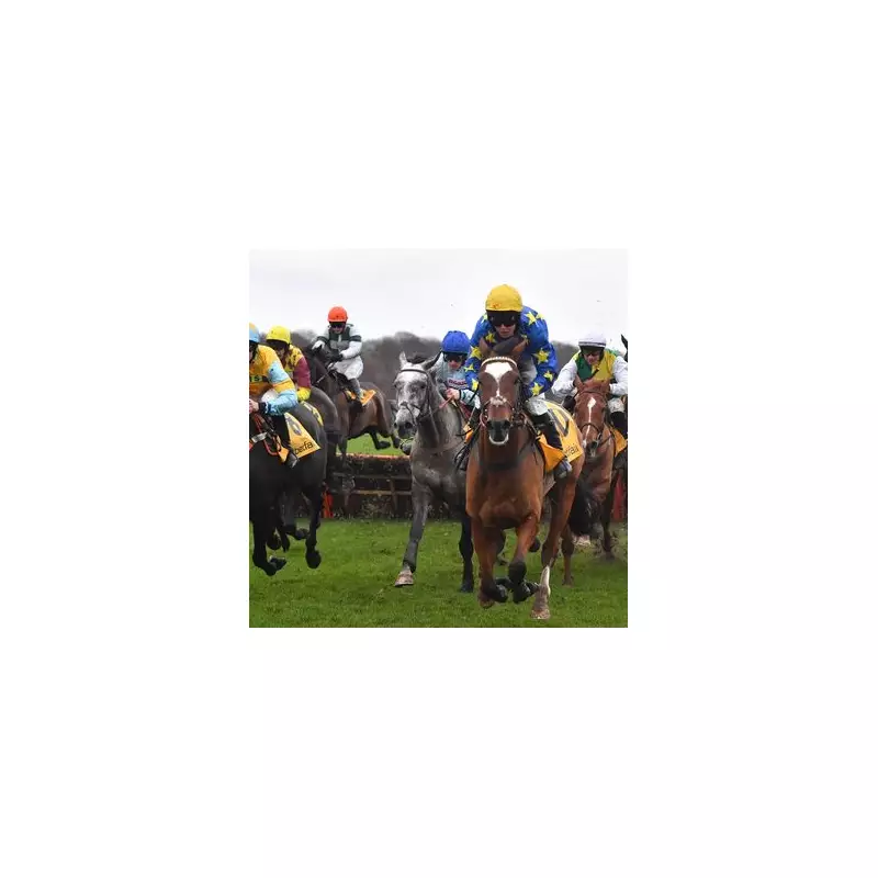 Newsboy's Tuesday Racing Tips: Nazare Nap at Haydock & Snaafy NB at Wolverhampton