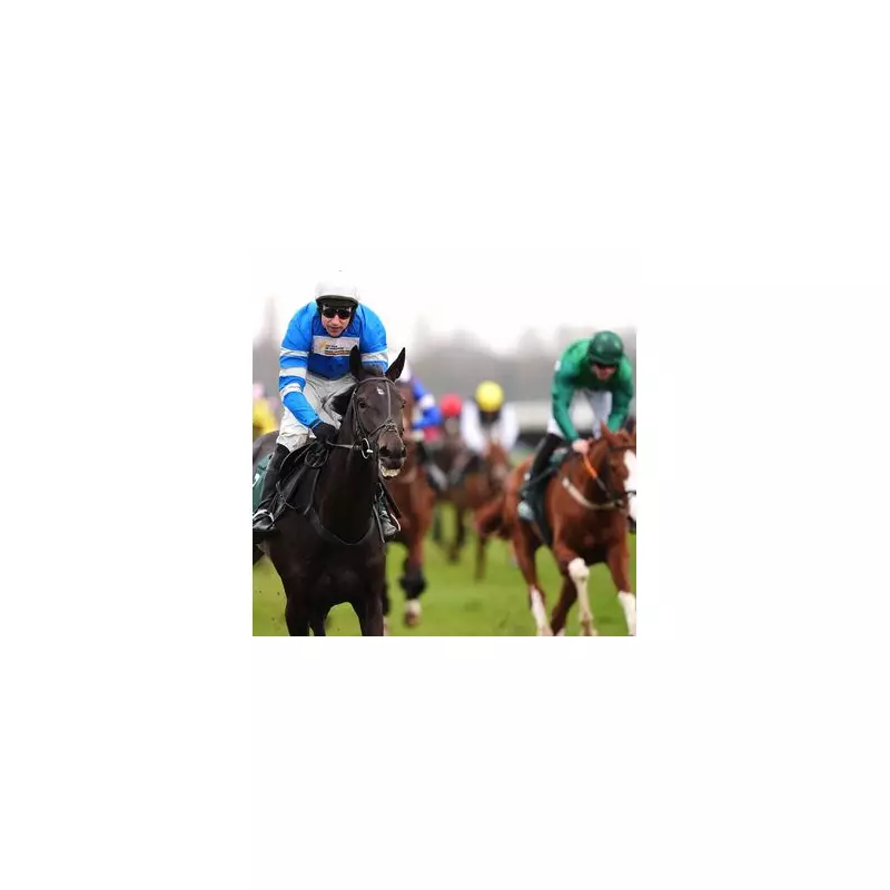 Newsboy's Wednesday Racing Tips: Kadastral Napped to Shine at Newbury