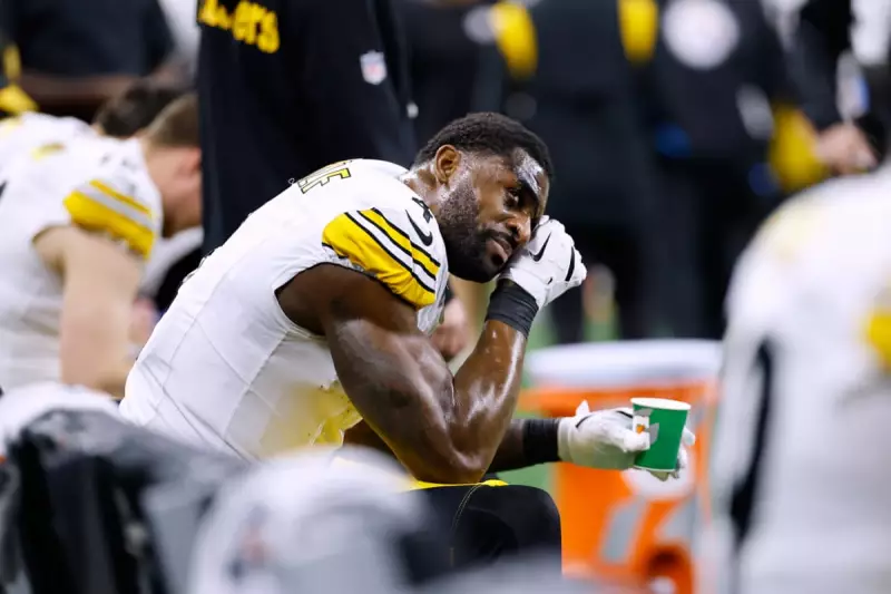 NFL Suspends Steelers' DK Metcalf for Two Games After Fan Altercation