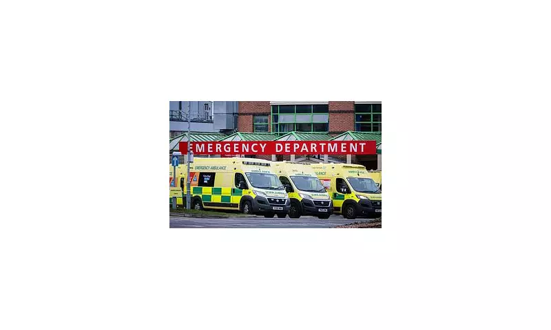 NHS Deploys AI Forecasting Tool to Slash A&E Waiting Times This Winter