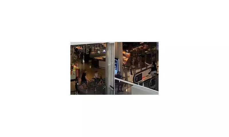 Nine Teens Charged Over Wild Sydney Shopping Centre Brawl Before Christmas