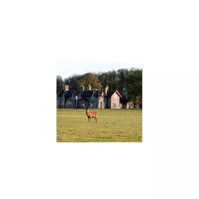 Norfolk Pub Named Among UK's Best: A Royal-Approved Coastal Retreat