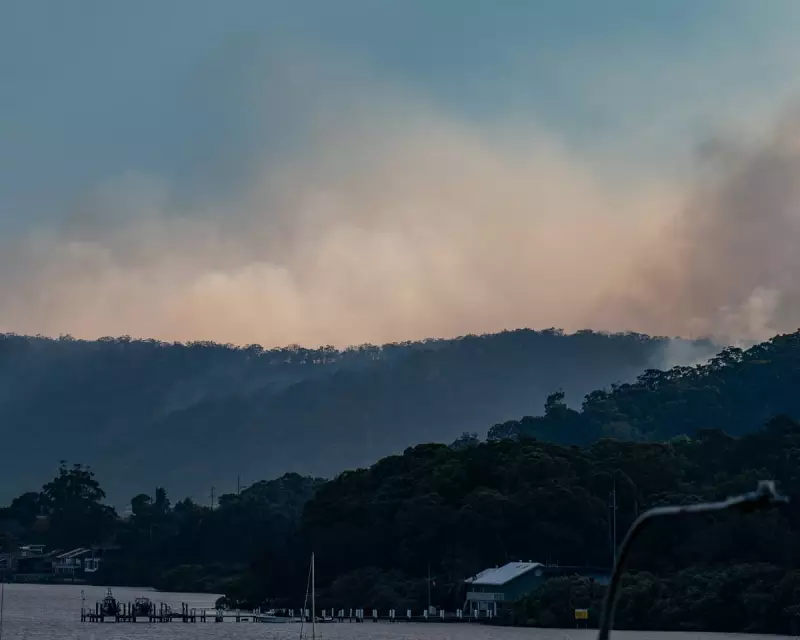 NSW Bushfire Victims to Receive Federal and State Government Support