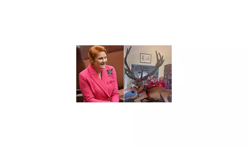 Pauline Hanson Hosts Live Reindeer in Lounge for Christmas Instagram Video