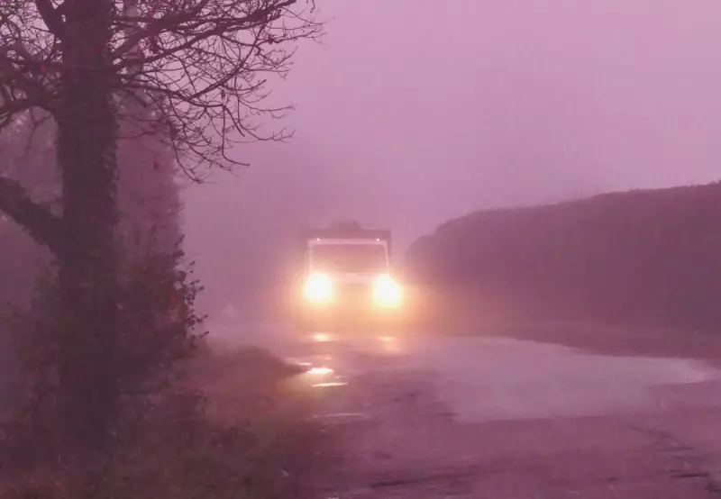 Pink Fog Phenomenon: Rare Rosy Hue Envelops UK Countryside at Dawn