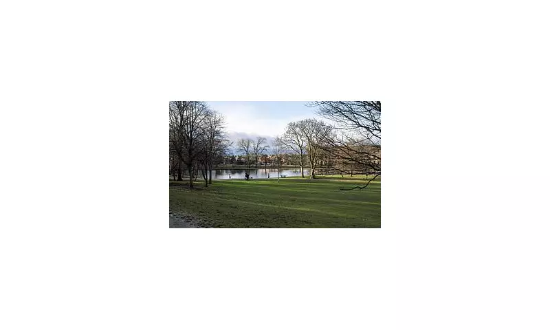 Police Hunt Christmas Eve Rapist in Glasgow's Queen's Park After 12:30am Attack