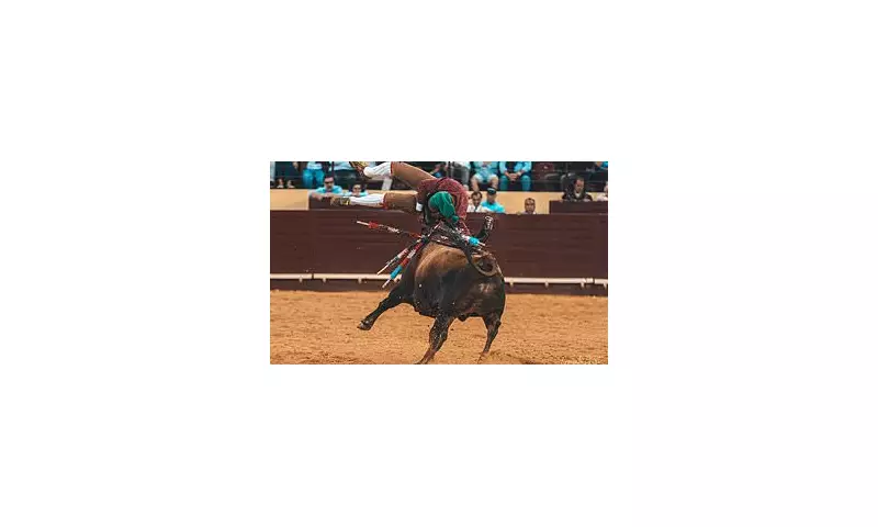 Portugal's 'Suicide Squad': The Forcados Risk Death in Brutal Bullfighting Tradition