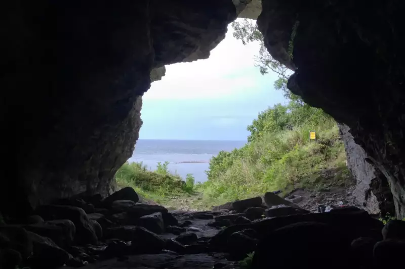 Prehistoric Humans Cared for Wolves 5,000 Years Ago, Swedish Cave Study Reveals