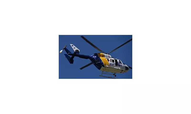 Preschool Boy Airlifted After Dog Attack on NSW Central Coast