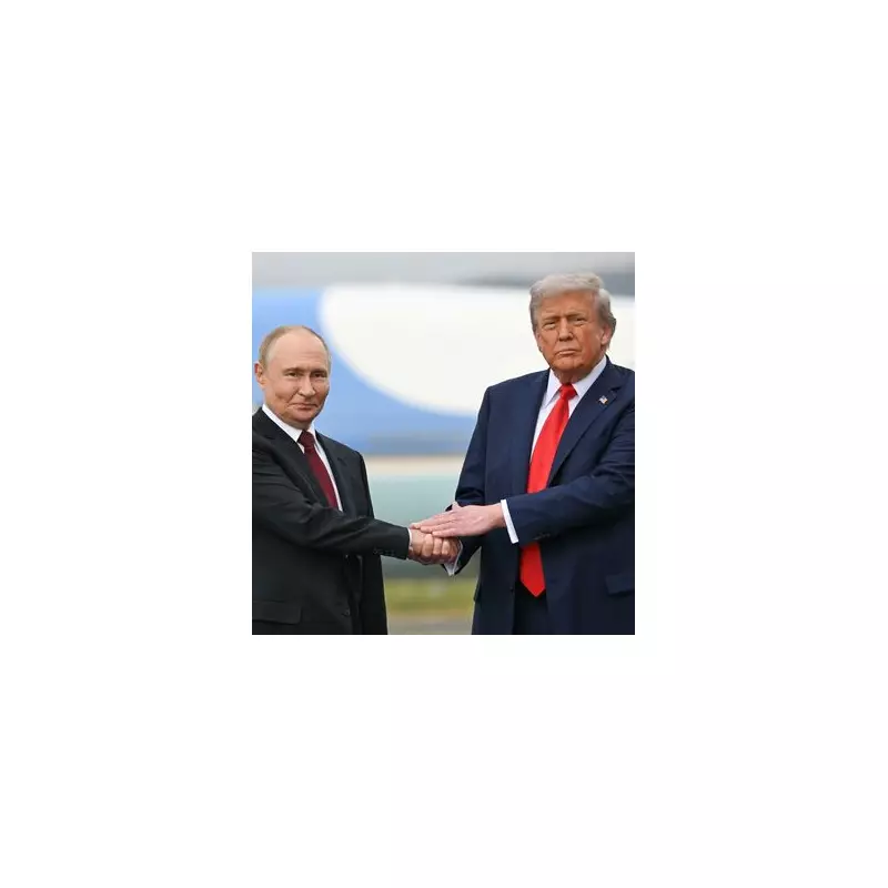 Putin 'Spits in Trump's Face' by Trashing Peace Deal, NATO Must Act