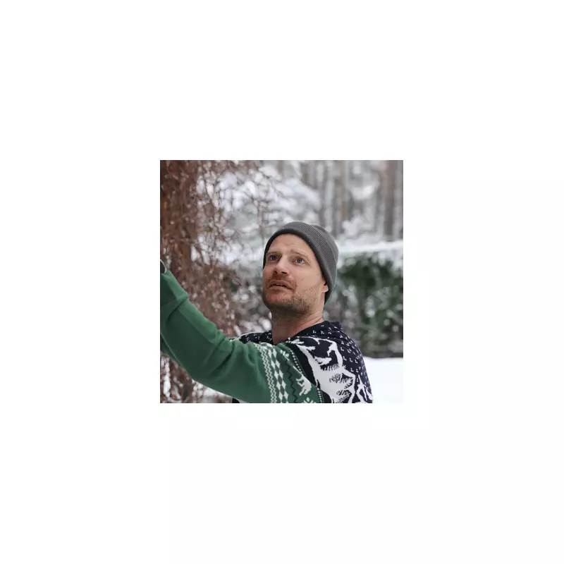 RHS Urges '9pm Christmas Rule' to Protect Wildlife from Festive Lights