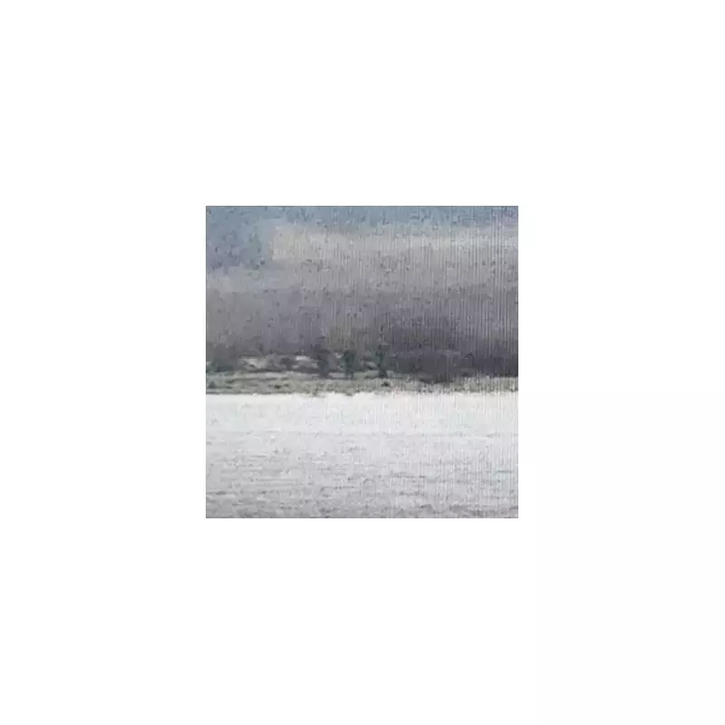 Russian Border Guards Cross into Estonia, Triggering NATO Alarm