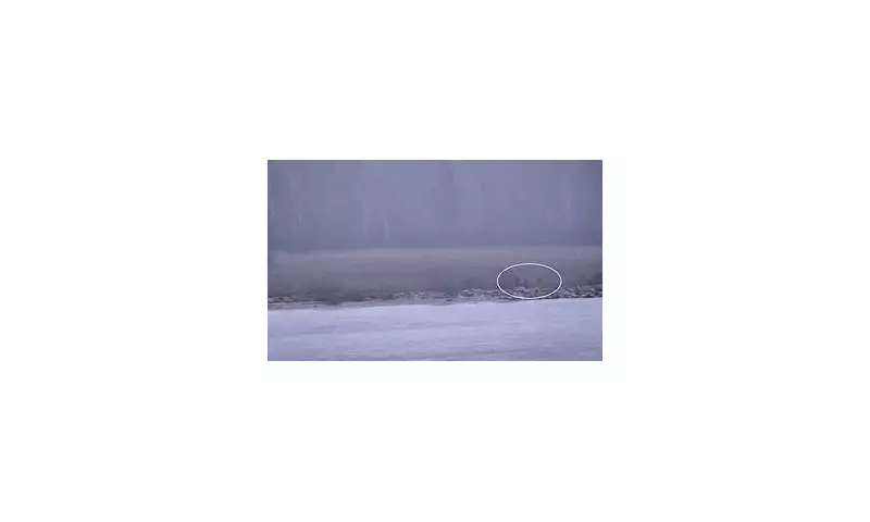 Russian FSB Guards Illegally Cross into NATO Estonia in 20-Minute Border Breach