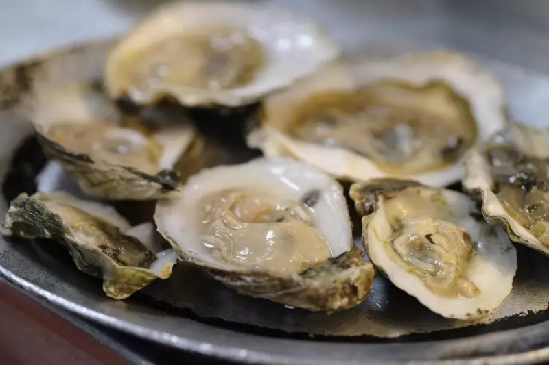Salmonella Outbreak: Over 60 Sick in 22 US States From Raw Oysters