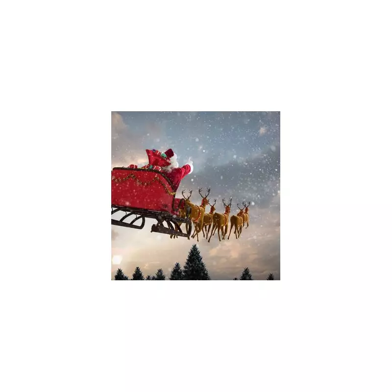 Santa's Reindeer Are All Female, Science Reveals in Festive Twist