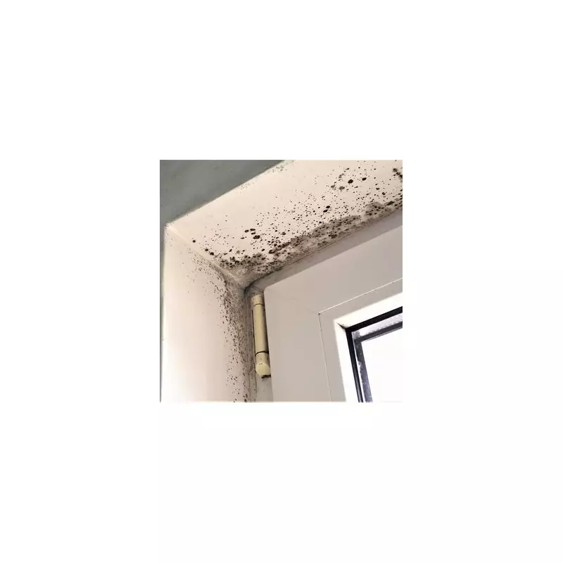 Scandinavian Winter Habit Fights Mould for Free: Open Your Windows