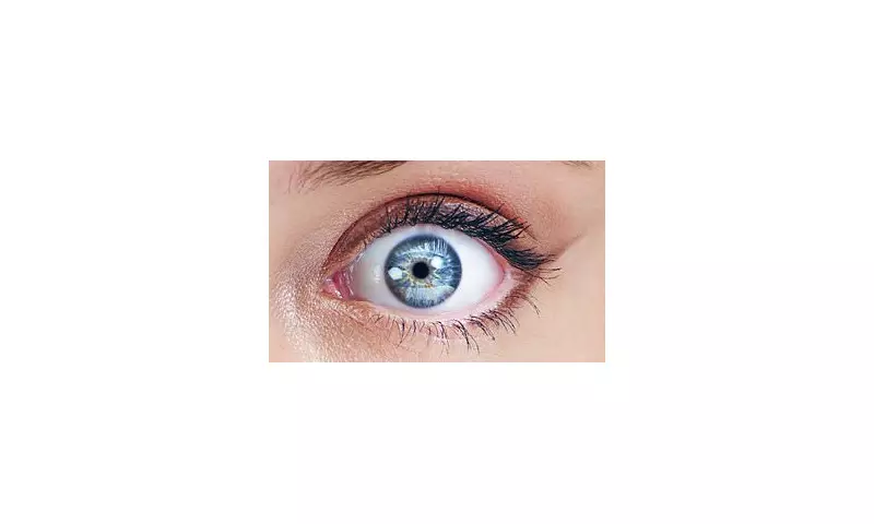 Science Reveals How to Tell If Someone Fancies You – Just Look at Their Eyes