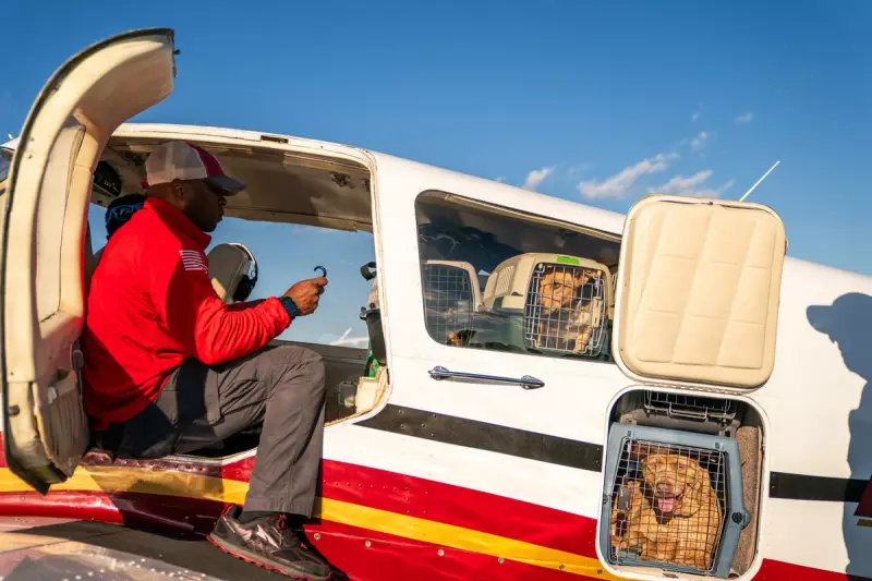 Seuk's Army Airlifts 117 Shelter Pets in Memorial Flight