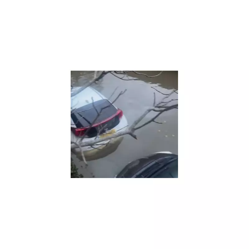 Seven Cars Submerged by Thames High Tide After Pub Parking