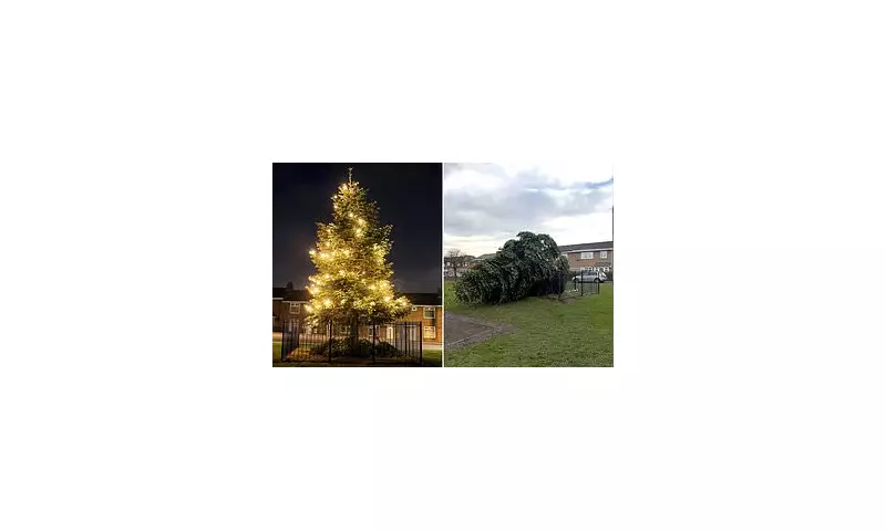 Shotton Colliery's Christmas tree restored after vandal's chainsaw attack