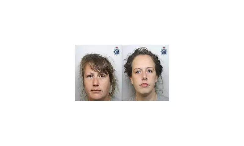 Sisters jailed for 32 months after brutal birthday attack on friend in Chester