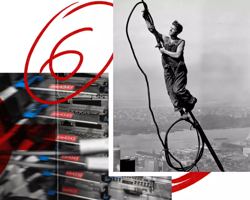 Six Essential Weekend Reads: AI's Trillion-Dollar Race & Wallaby Hunts