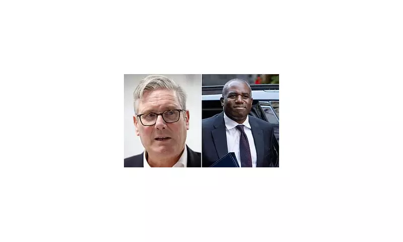 Starmer Eyes Closer EU Trade Ties as Lammy Hints at Customs Union Benefits