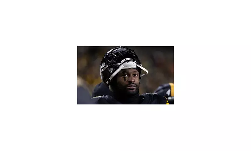 Steelers' DK Metcalf faces £36m loss over fan altercation suspension