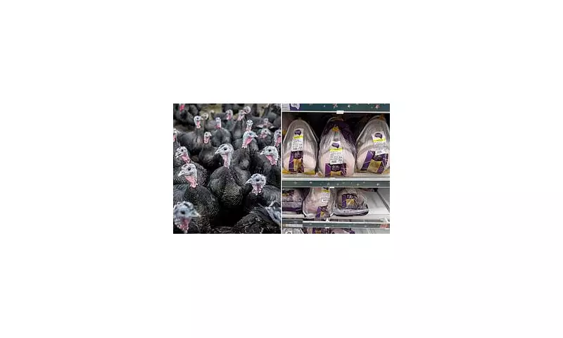 Supermarkets Accused of Secretly Selling European Turkeys as British