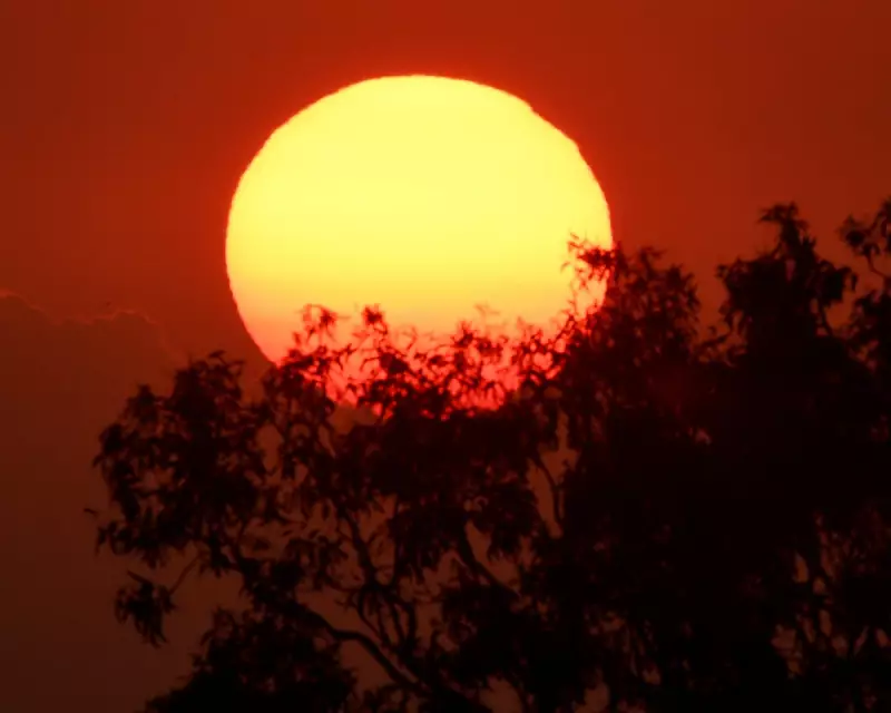 Sydney Braces for 40°C Heatwave as Extreme Weather Alert Issued