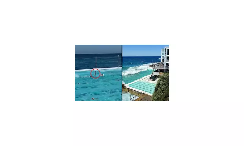 Sydney Swimmer's Phone Use in Pool Sparks Debate on Tech Addiction