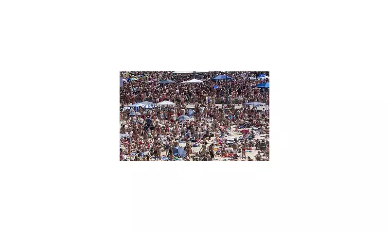 Sydney's Bronte Beach Christmas Party Banned Over Safety Fears