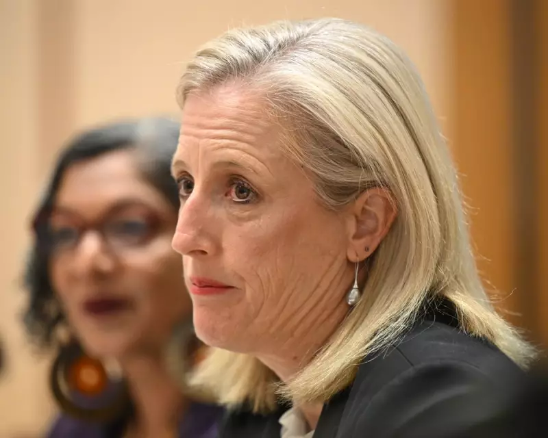 Sydney's Iconic Bondi Beach Reopens After Shark Attack, Lifeguards on High Alert