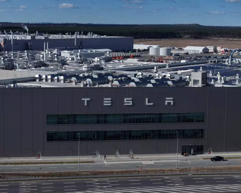 Tesla's European Sales Plunge 34% as BYD Soars in November