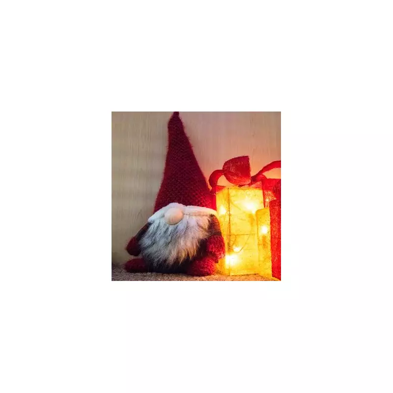 Test Your 20/20 Vision: Spot All Five Gnomes in This Festive Brainteaser