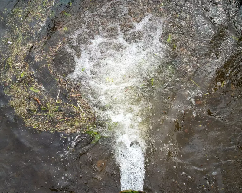 Thames Water Faces Legal Action Over Sewage Pollution Crisis