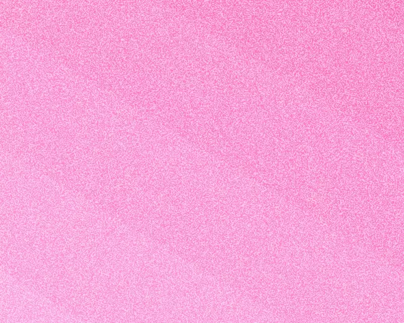 The Guardian's 'How to Have a Better Day' Series: A 16-Part Guide to Life Improvement