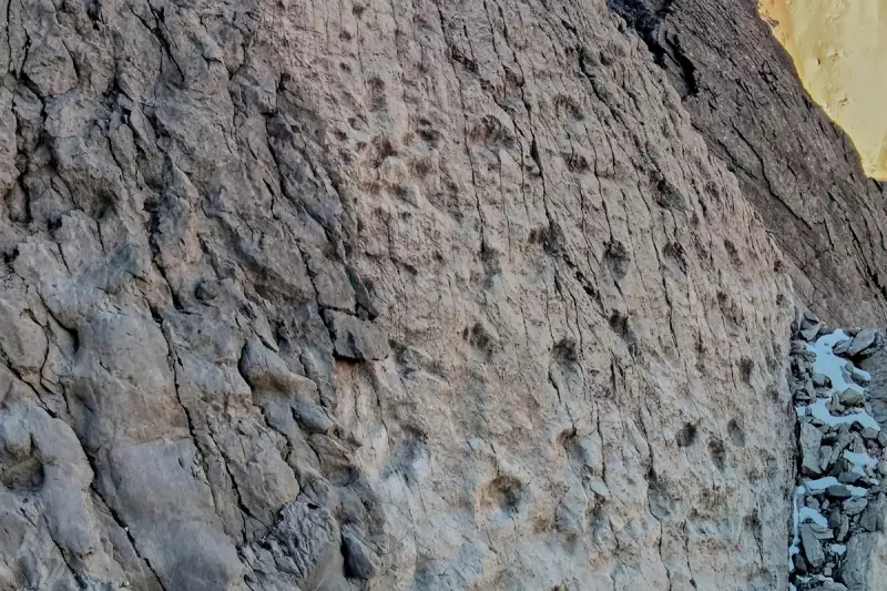 Thousands of 210-Million-Year-Old Dinosaur Tracks Found Near 2026 Olympic Venue