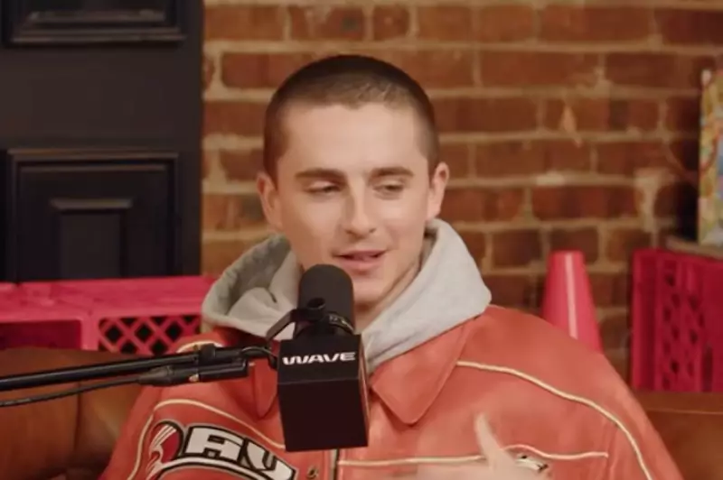 Timothée Chalamet Skipped Met Gala for Knicks Playoff Fever